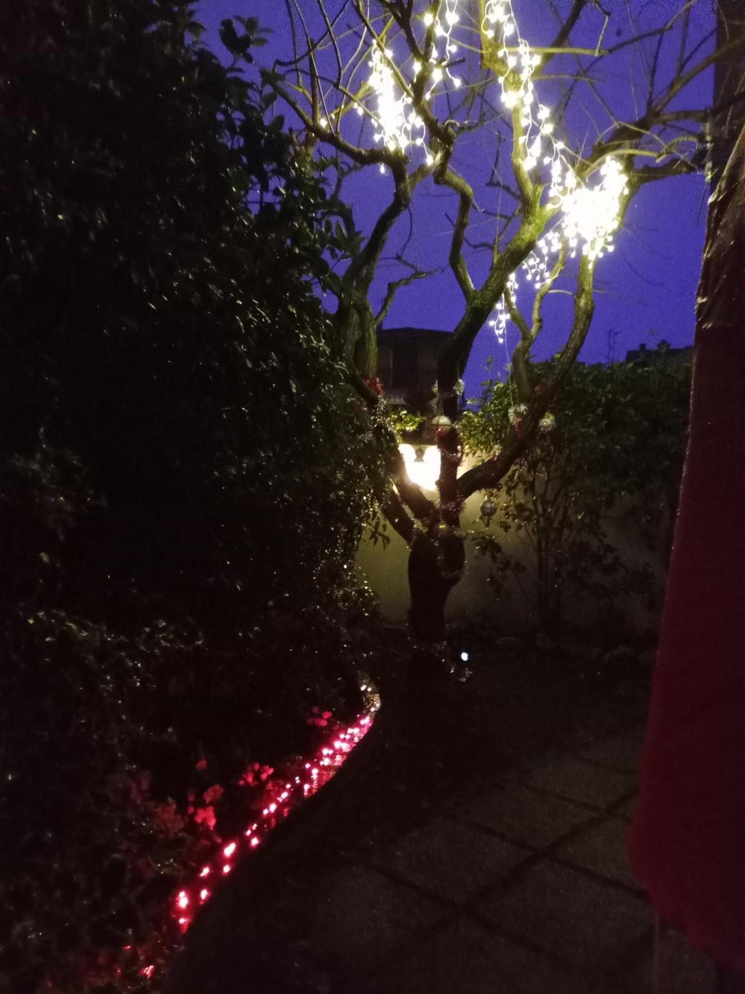 B&B Il Cantuccio Ντεζεντσάνο ντελ Γκάρντα Εξωτερικό φωτογραφία